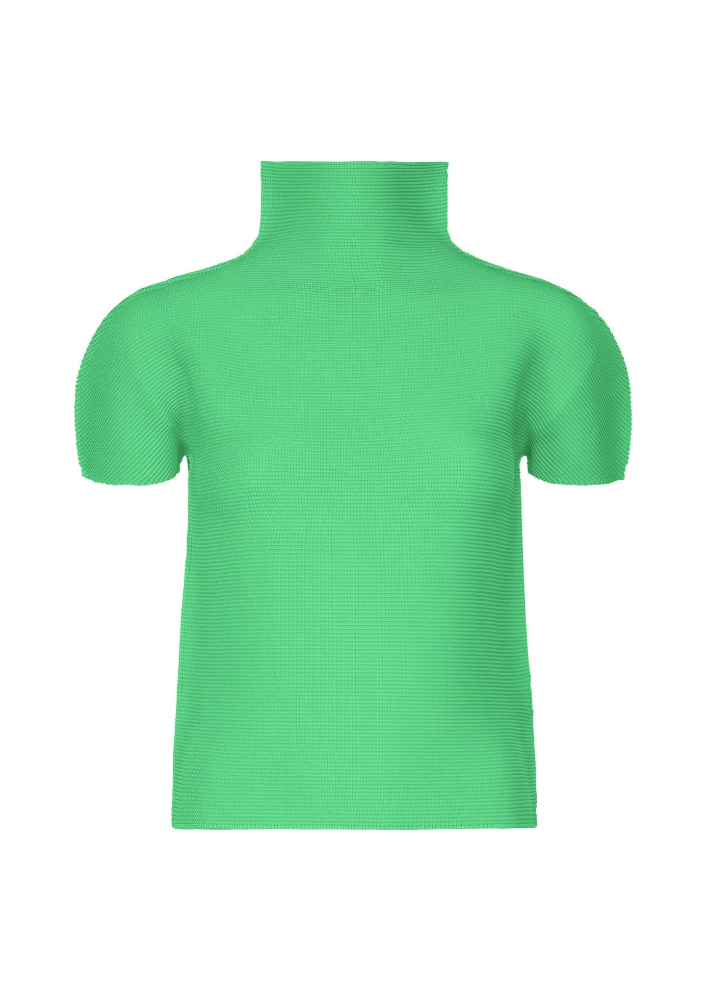 STRETCH PLEATS 5