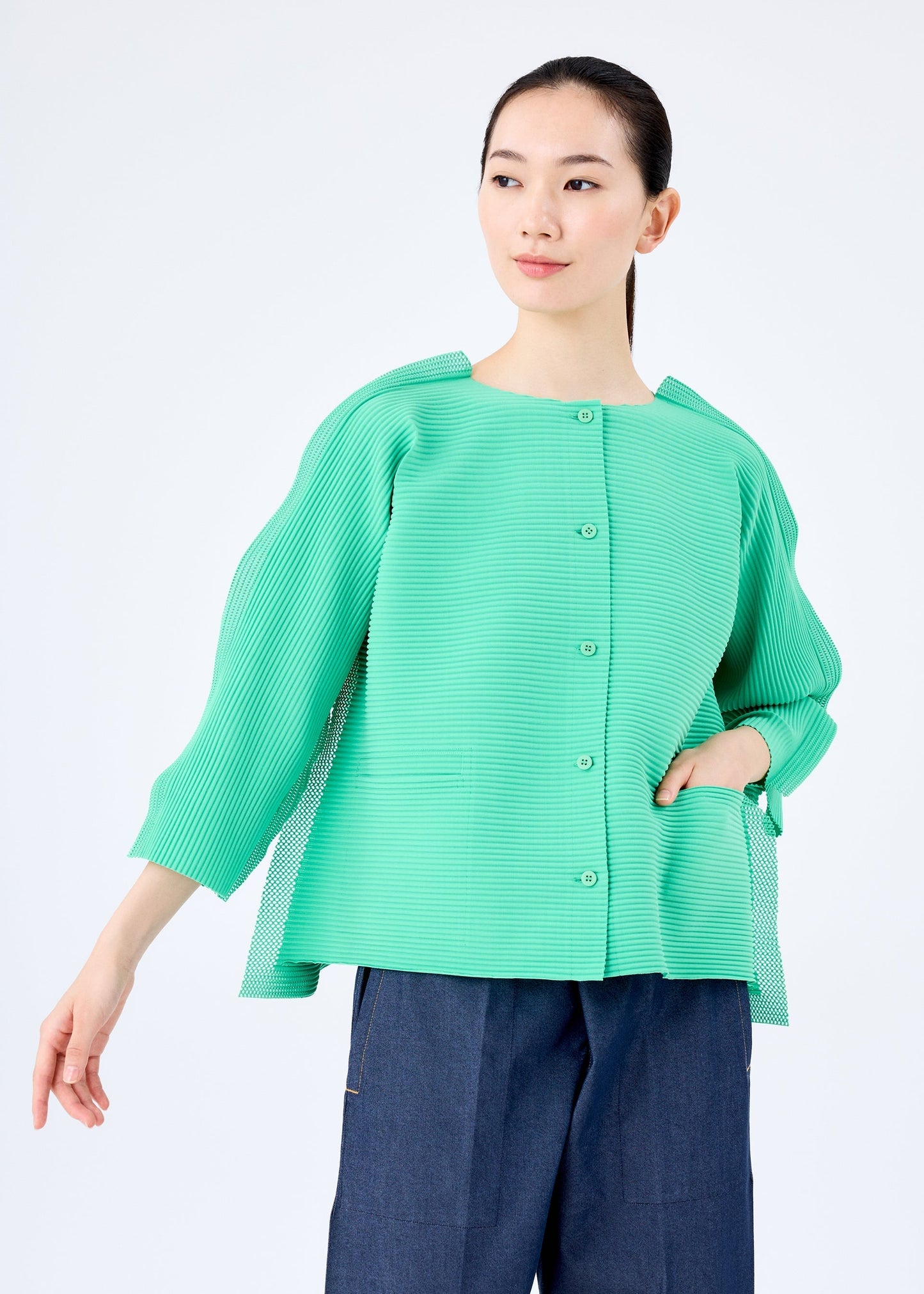 FRAME MESH PLEATS
