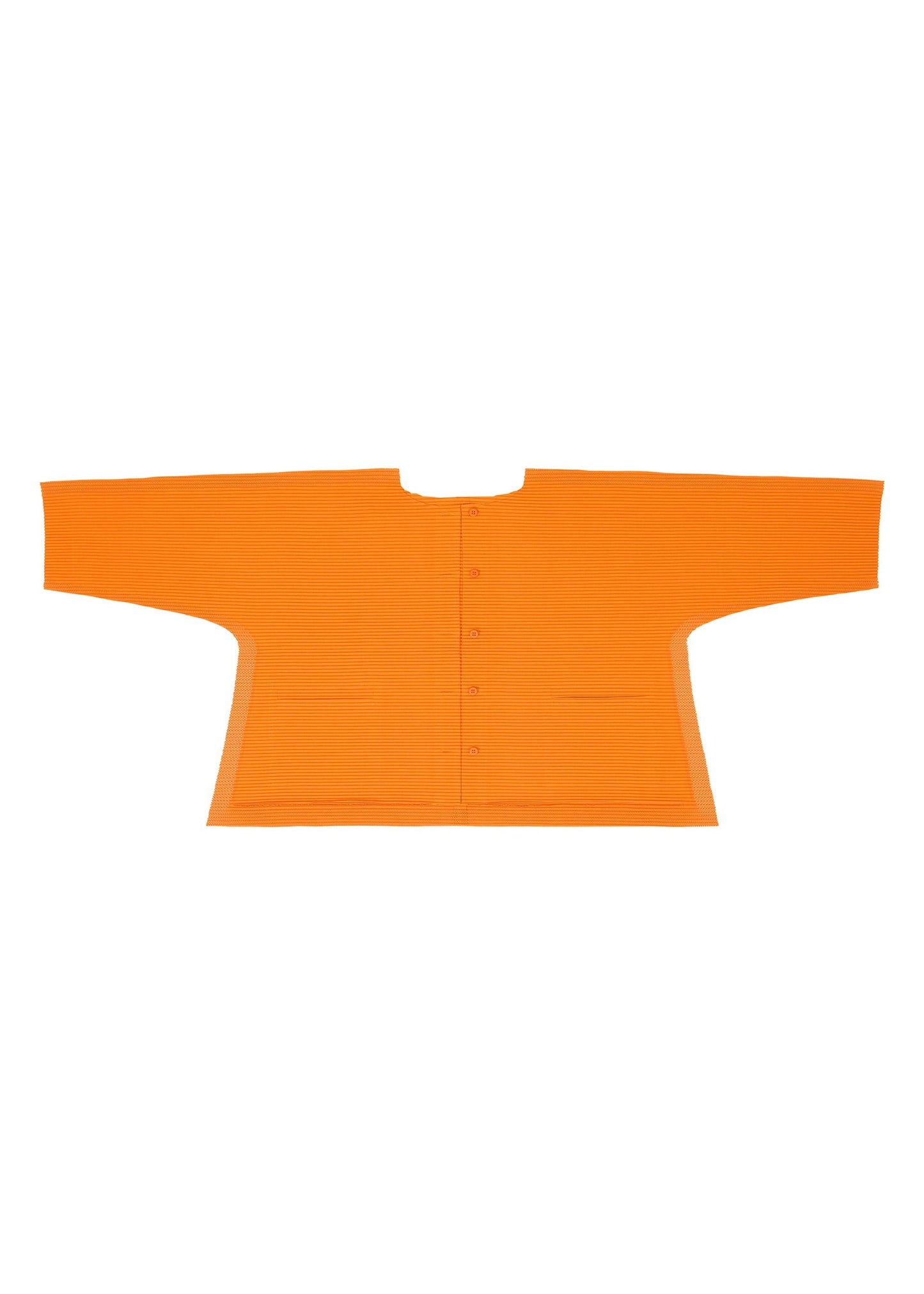 FRAME MESH PLEATS