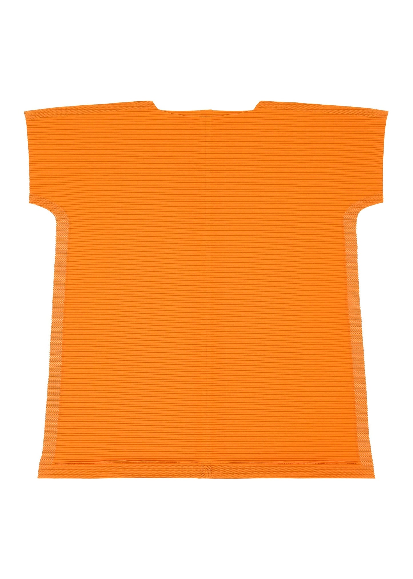 FRAME MESH PLEATS